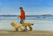 Chesterman Beach Dog Walker