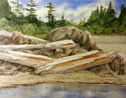 Mackenzie Beach Driftwood