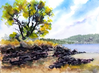 Mill Bay Day
