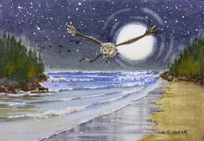Night Chase